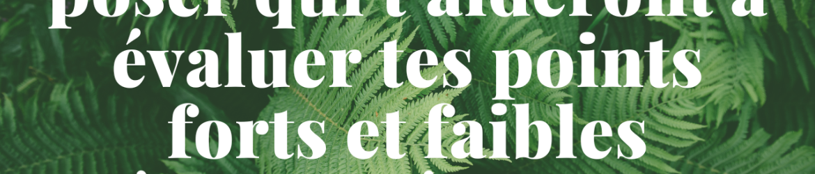 Les 24 questions à te poser qui t’aideront à évaluertes points forts et faibles après tes présentations de vente - dezeroaheros.com