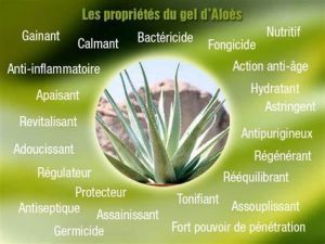 Avis Forever Living Products - dezeroaheros.com (2)